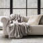 Jeté luxueux en fausse fourrure de chinchilla 1220GSM-106368352-106368350