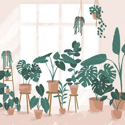 " Plant Room "