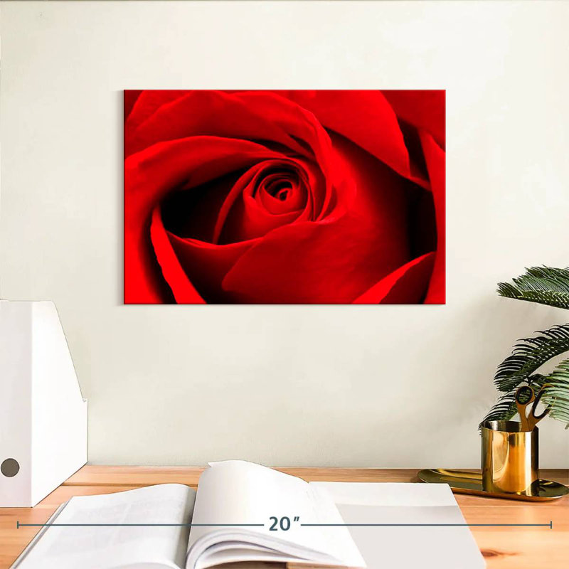 Harnek, gros plan d'une rose rouge, H 8 po x l 12 po