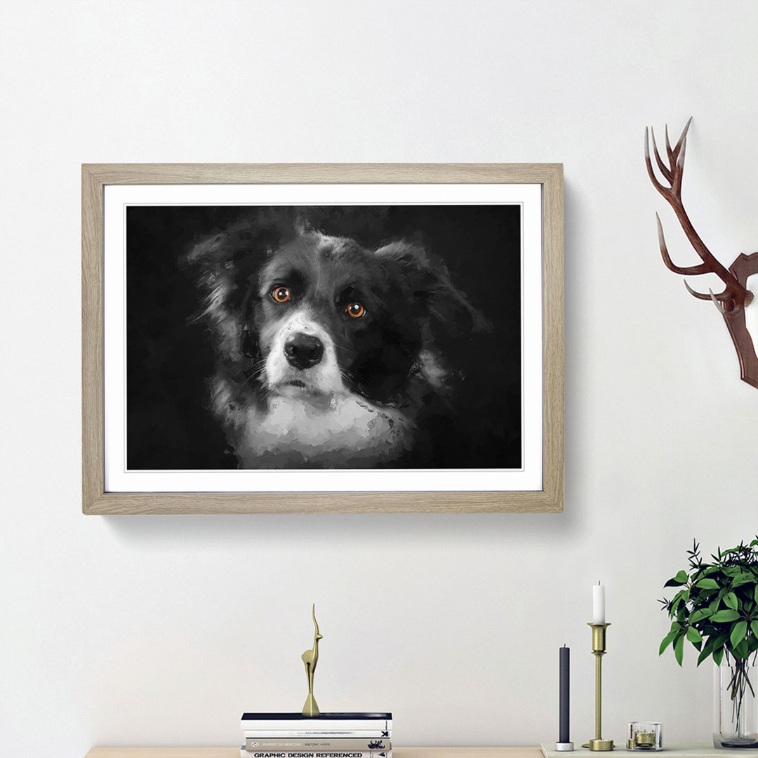 Brown Eyed Border Collie Dog in Abstract - Picture Frame Art Print