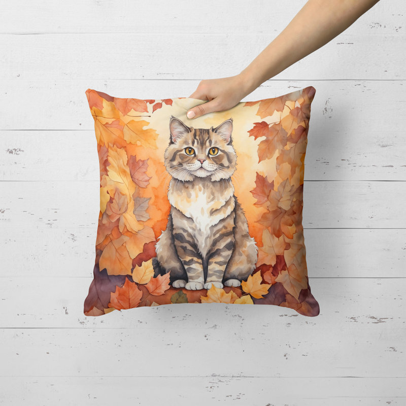 Coussin Selkirk Rex, Carré 18 po