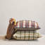 Acrylic Lumbar Rectangular Pillow Cover & Insert