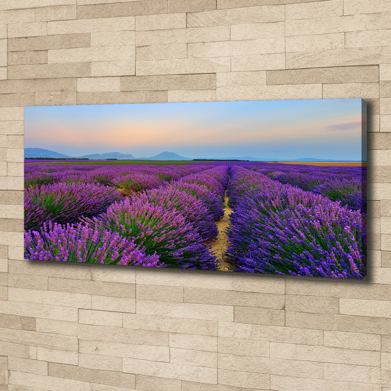 Canvas Print - Wall Art - Prints On Canvas - 125X50 Image Picture Theme: Lavender Field