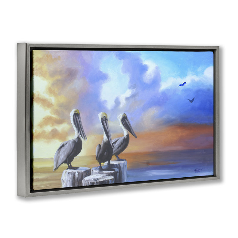 «Vivid Pelican Trio» par D. Rust, Cadre flottant gris lustré, H 21 po x l 31 po