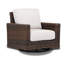 Naomie Swivel Rocker Patio Chair with Sunbrella® Cushions-39266152