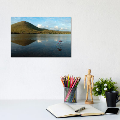 An American Flamingo On Floreana Island In Galapagos National Park 1 Piece Wrapped Canvas Wall Art