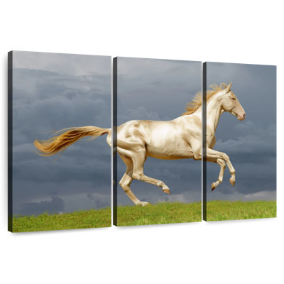 Brampt magnifique cheval Akhal Teke
