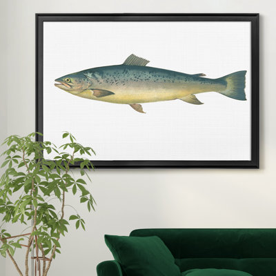 " Small Antique Fish V "