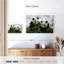 Hiver Pandas-1572530039