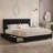 Storage Bed With 4 Drawers And 3-Tier Nightstand Bedroom Set Platform Velvet Bed With Under-Bed Storage, Modern Upholstered Bed Set-1817401148-1817401149
