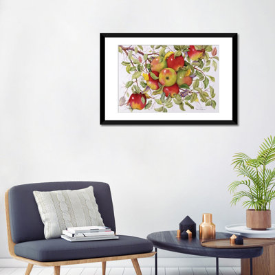 " Apples " Graphic Art