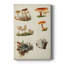 Mushroom Species X - Gallery sur mesure-1660109600