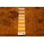 Tapis orange clair en laine noué à la main de conception unique 9 pi 1 po x 11 pi 8 po