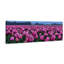 Tulips Galore by Don Schwartz - Wrapped Canvas Panoramic Print-372043086