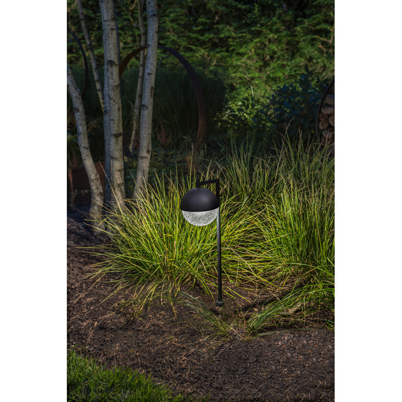 Hinkley Revolve LED Path Light, Black