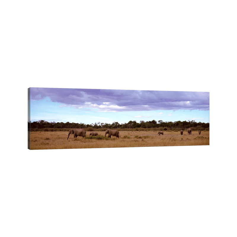 Herd Of Elephants, Masai Mara National Reserve, Kenya, Africa - Wrapped Canvas Panoramic Print