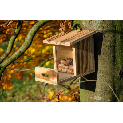 Eichhörnchen-Futterhaus