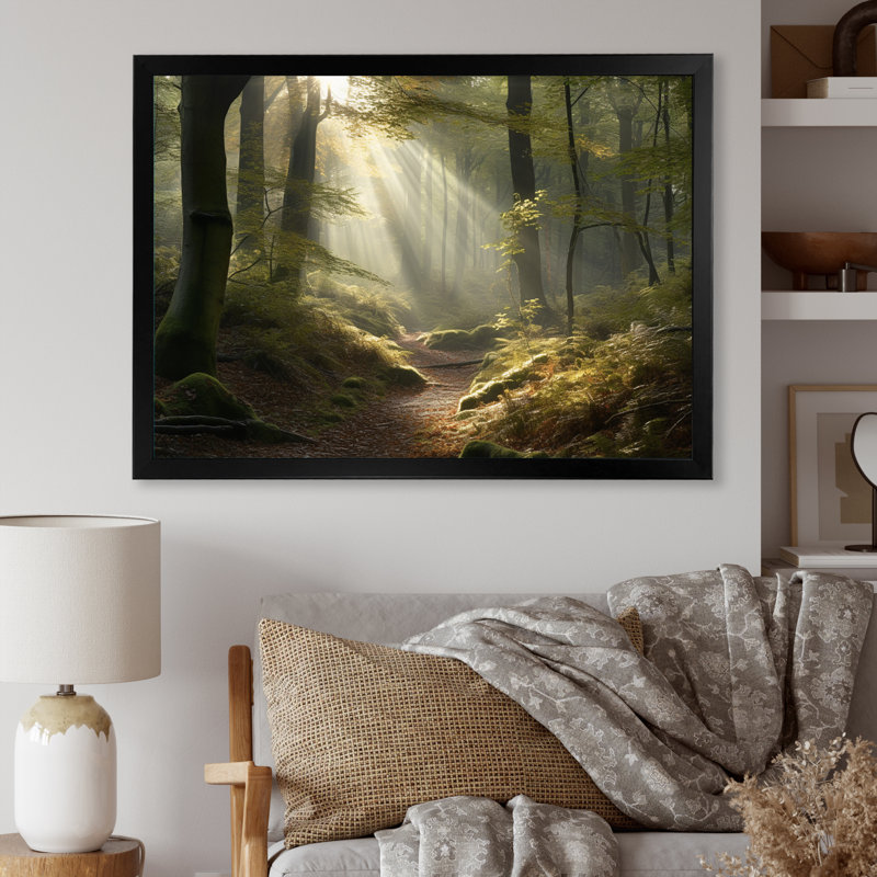 La lumière traverse la forêt III - impression, Cadre photo noir, H 12 po x l 20 po x P 1 po