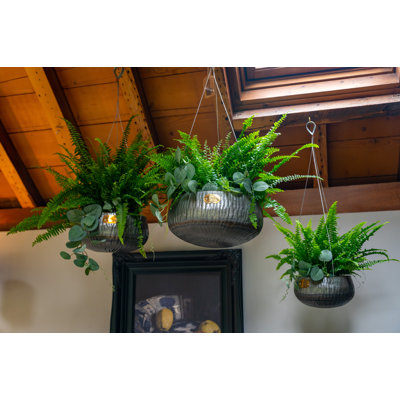Rish Metal Hanging Planter