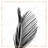 Areca Palm with Rose Line - Minimalist – Throw Pillow Cover Only, Double-Sided Print, Insert Not Included