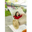Hamac classique tissé Carius Paradise-340550990
