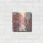 «Coral Blooms II» par Chris Paschke-1154912614
