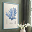«Blue Marine Algae IX», reproduction encadrée - bois massif-32243055-32243045