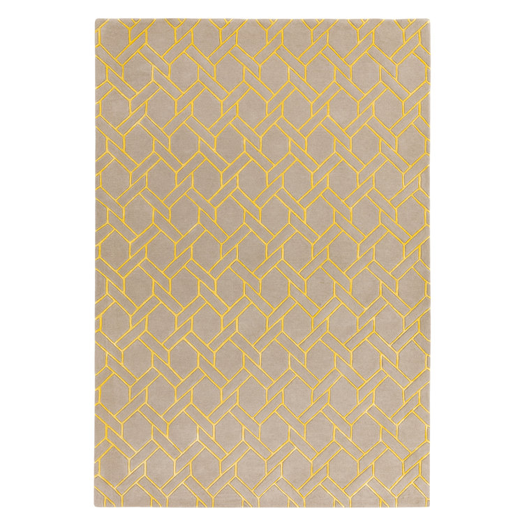 Geometric Hand Woven Area Rug