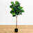 Fiddle Leaf Artificial Tree