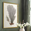 Knorr Shells & Coral III, reproduction encadrée - bois massif-2062187162-2062187160