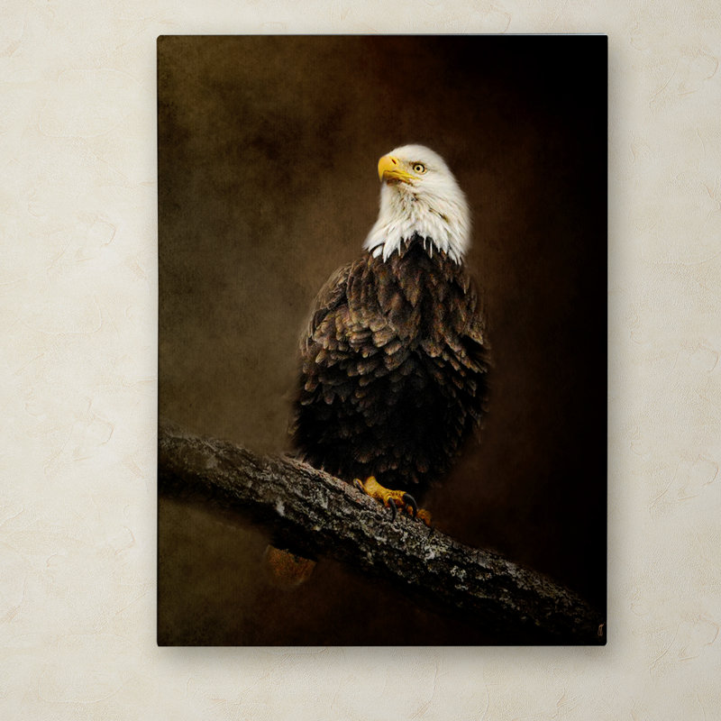 Large Abstract Eagle Canvas Art in Multicolor