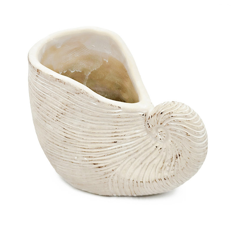 Modern Planter, Nautilus Shell Shape Planter