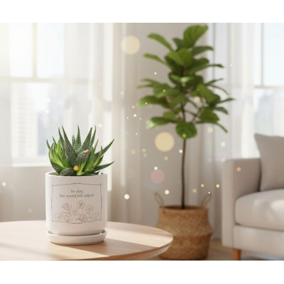 Jardinière Be You - The World Will Ajuster
