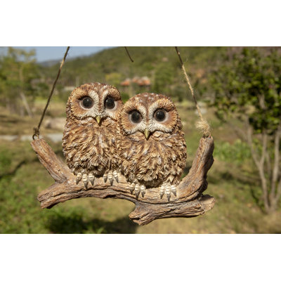 Hanging Baby Owlets on a Branch