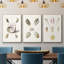 " Pastel Knorr Shells I " 3 - Pieces-91891604-91891603