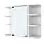 Meuble-lavabo simple avec plateau 23,8 po Zarren