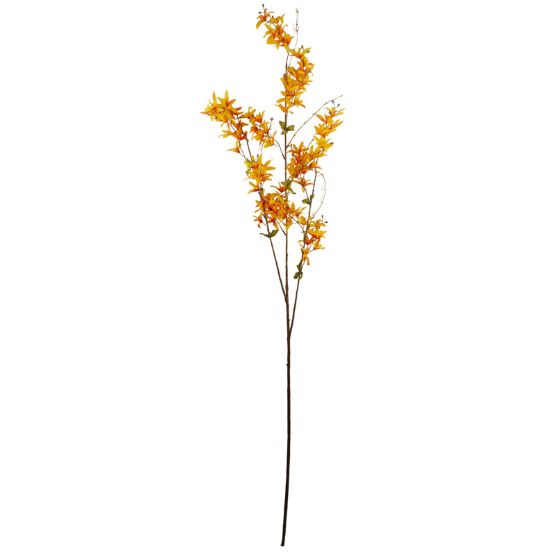 Aneris Arrangement