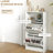 Modern Shoe Storage Cabinet