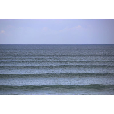 «Lilac Waves», reproduction de photo