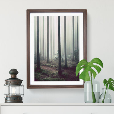 A Quiet Forest - Wall Art