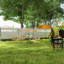 Tent-98375102