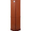 Accent Cabinet