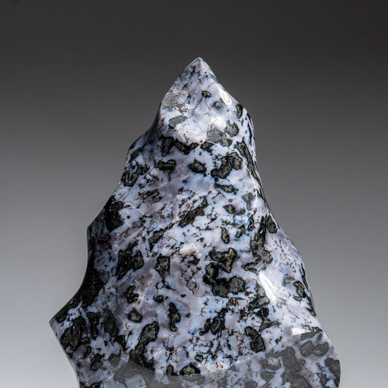 Genuine Polished Indigo Gabbro Flame Freeform (2.7 Lbs)