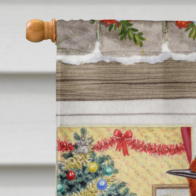 Polyester à 2 côtés 40 x 28 po drapeau maison European Robin