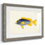 Collection de poissons tropicaux V-1194764184-1194764187