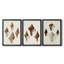 Sowerby Shells IV  -Custom Framed  Wrapped Gallery Canvas - 3 Pieces-1812120310-1812120308