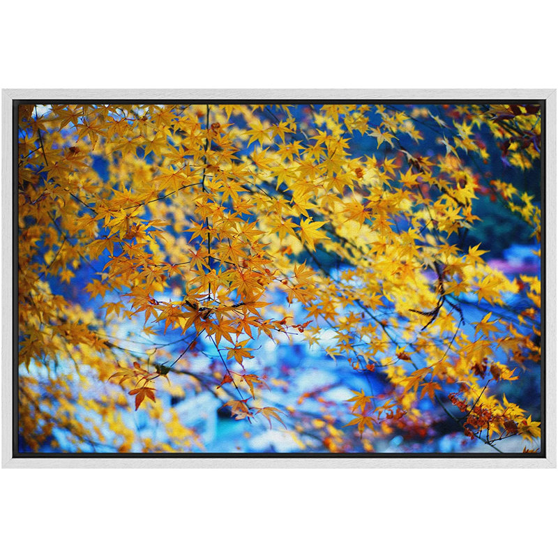 Feuille d'automne jaune à contraste élevé - Nature sauvage - photographie, H 24 po x l 36 po x P 1,5 po, Cadre blanc