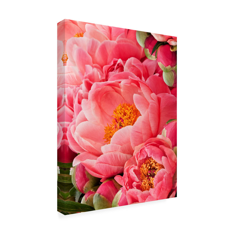 Rachel Perry, toile d'extérieur «Coral Peony II», H 19 po x l 14 po x P 1,5 po