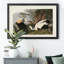 Eider Duck - Reproduction de photo sur toile-661835674-661835677