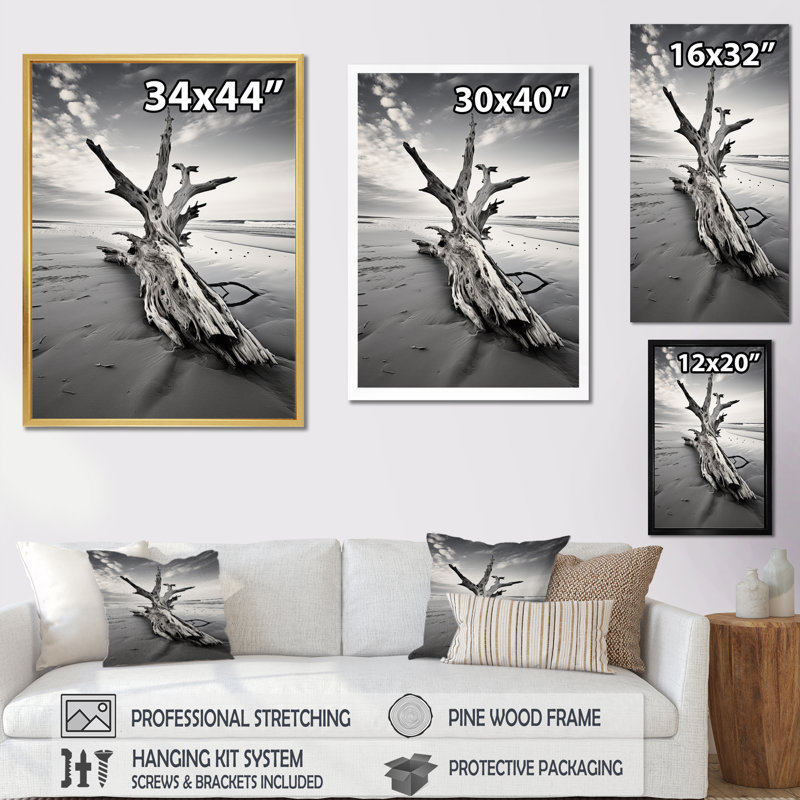 Plage de bois flottant photo III, H 44 po x l 34 po x P 1,5 po, Toile tendue
